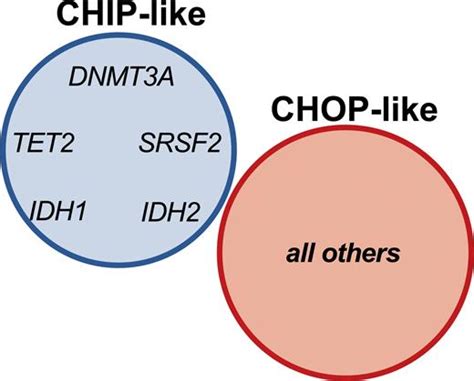 Separating Innocuous “CHIP” Mutations From Ominous “CHOP” 